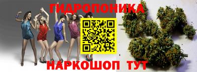 наркотики Кудрово